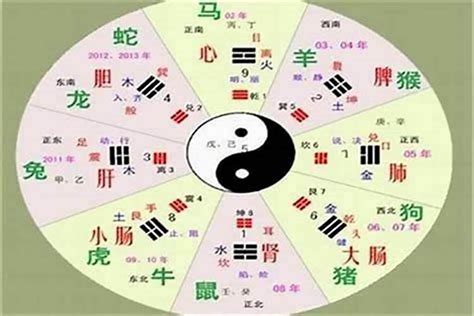 祤五行|樾字的五行属性